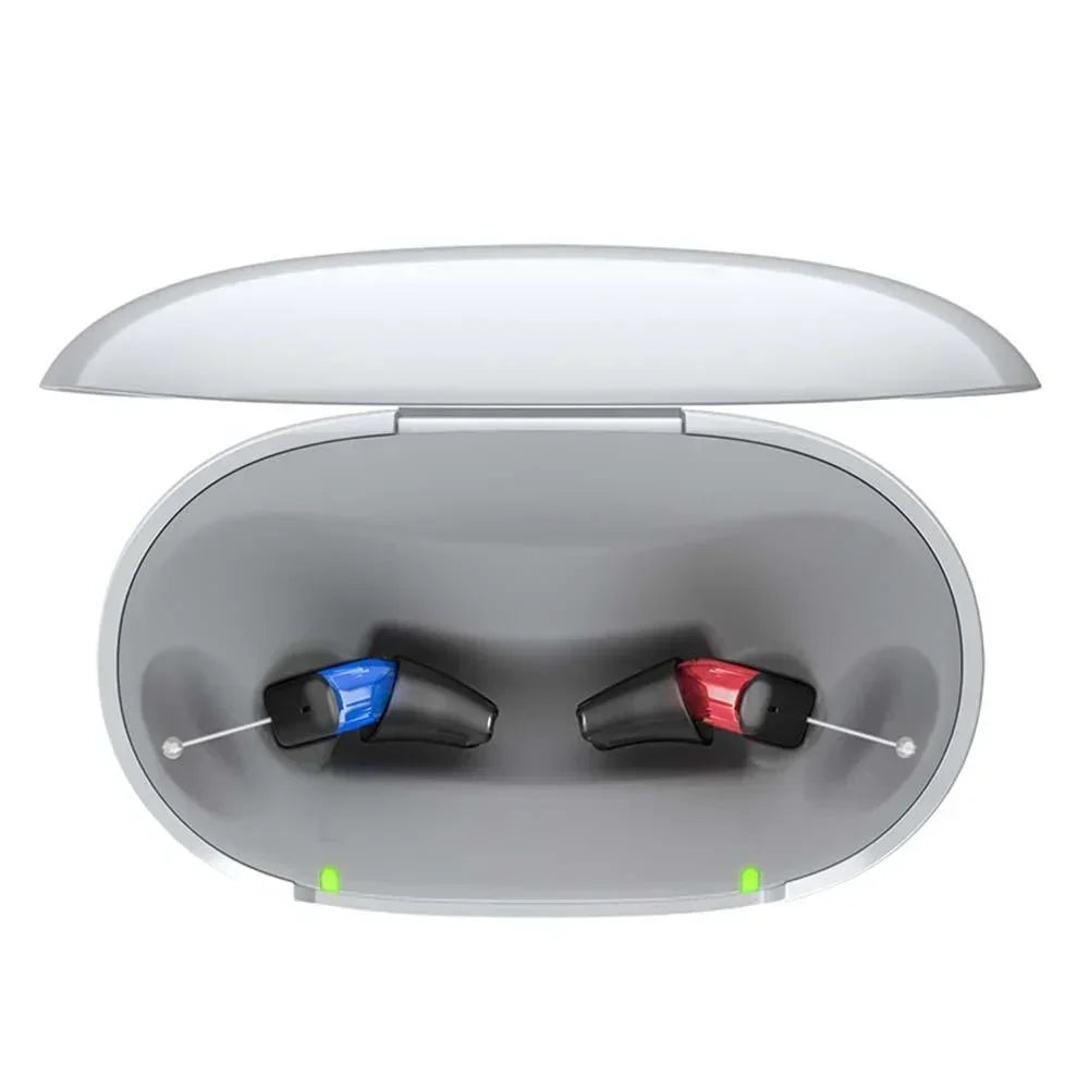 Signia Charge & Go 5IX Rechargeable Hearing Aid - HearSilk